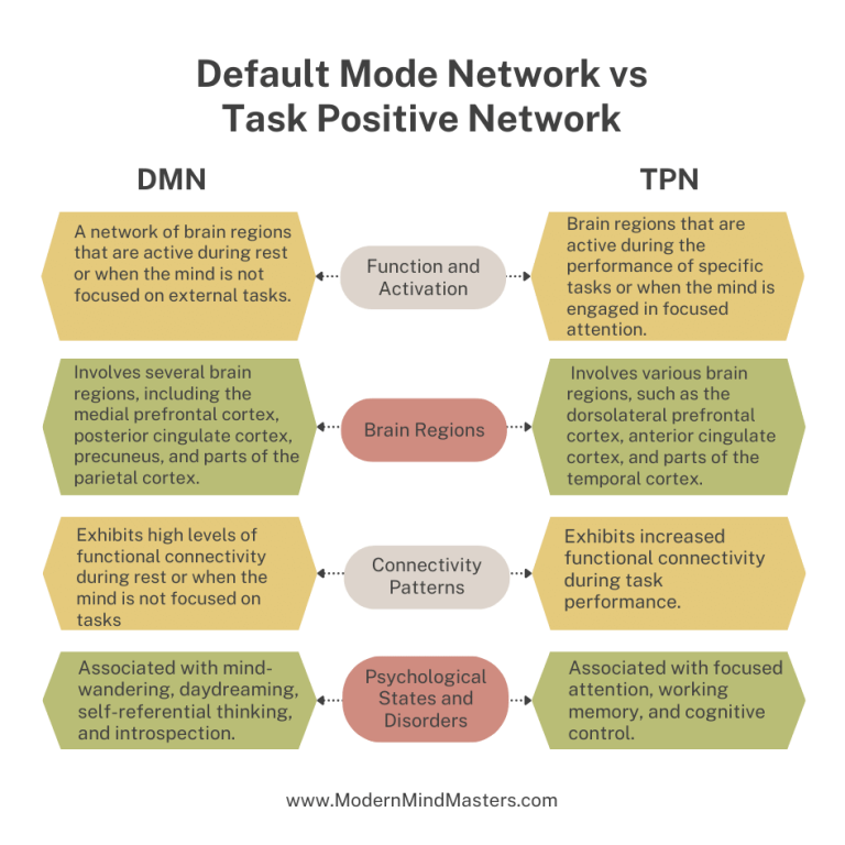 Difference between Default Mode Network (DMN) and Task Positive Networks (TPN).