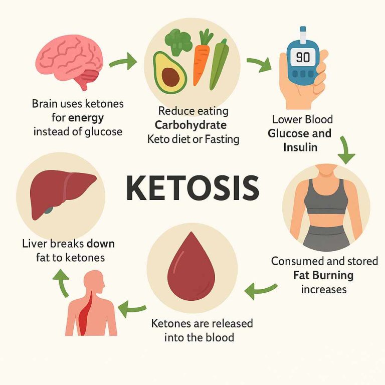 What happens to the body during ketosis?