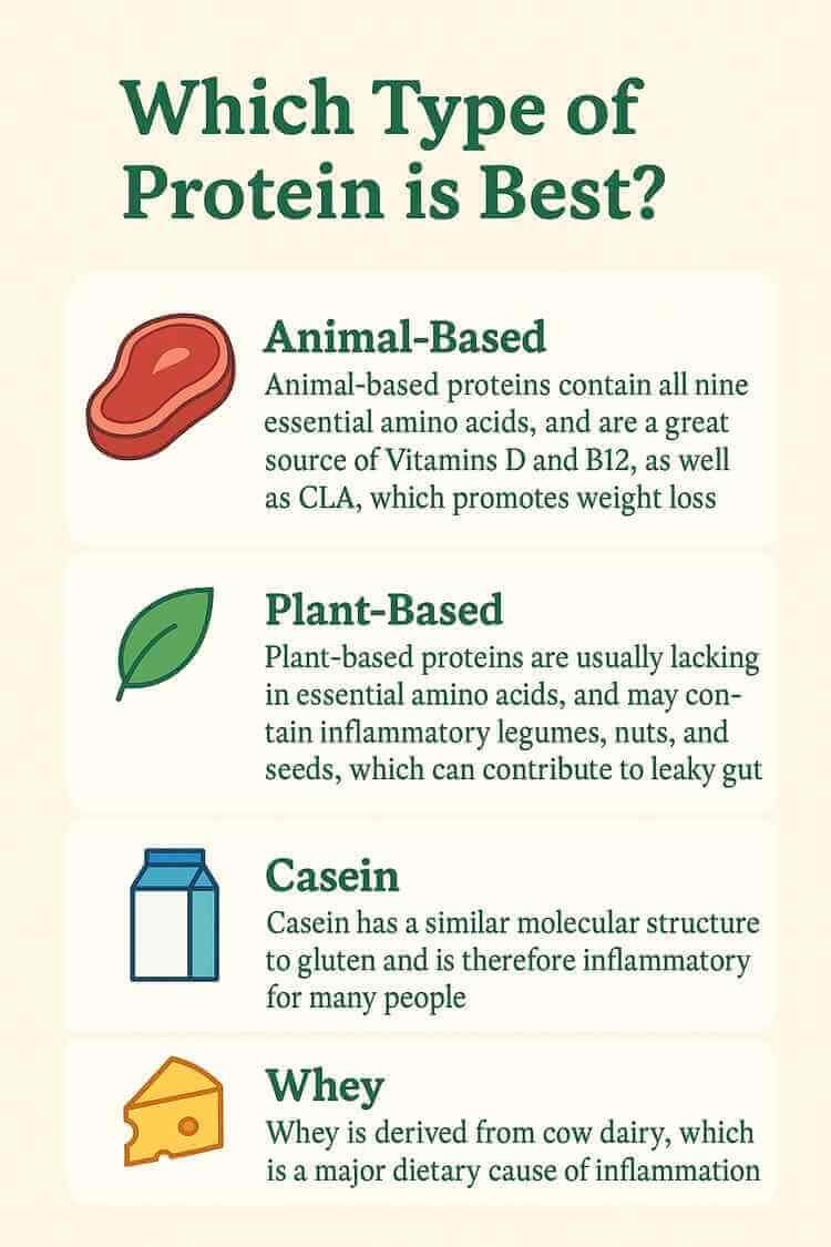 Which type of protein is best?