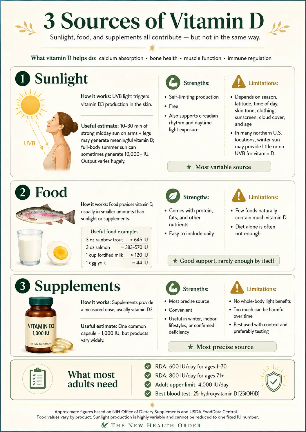 Infographic showing the three main sources of vitamin D — sunlight, food, and supplements — including how each works, key strengths and limitations, example vitamin D amounts, and basic adult vitamin D intake guidance.