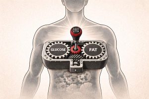 Metabolic Flexibility Featured Image