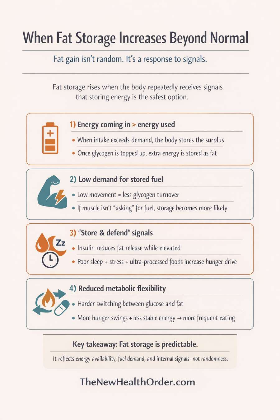 When the body begins to store fat