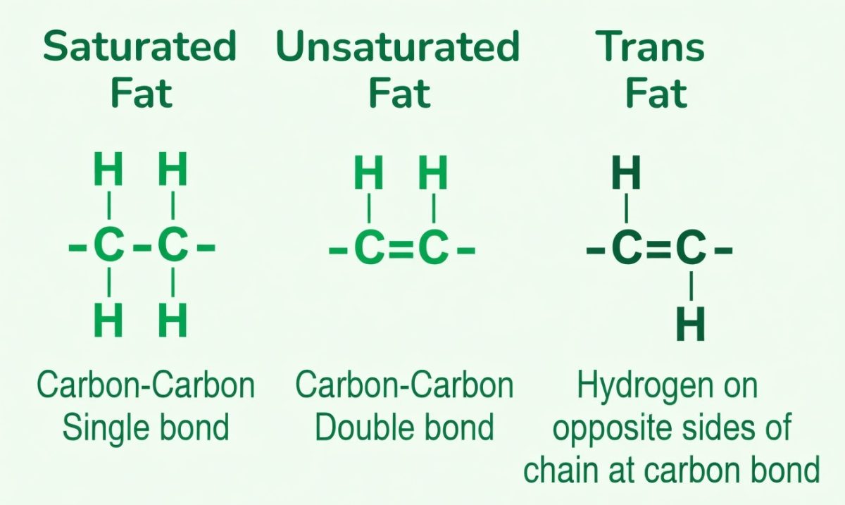 differences between saturated, unsaturated, and trans fats