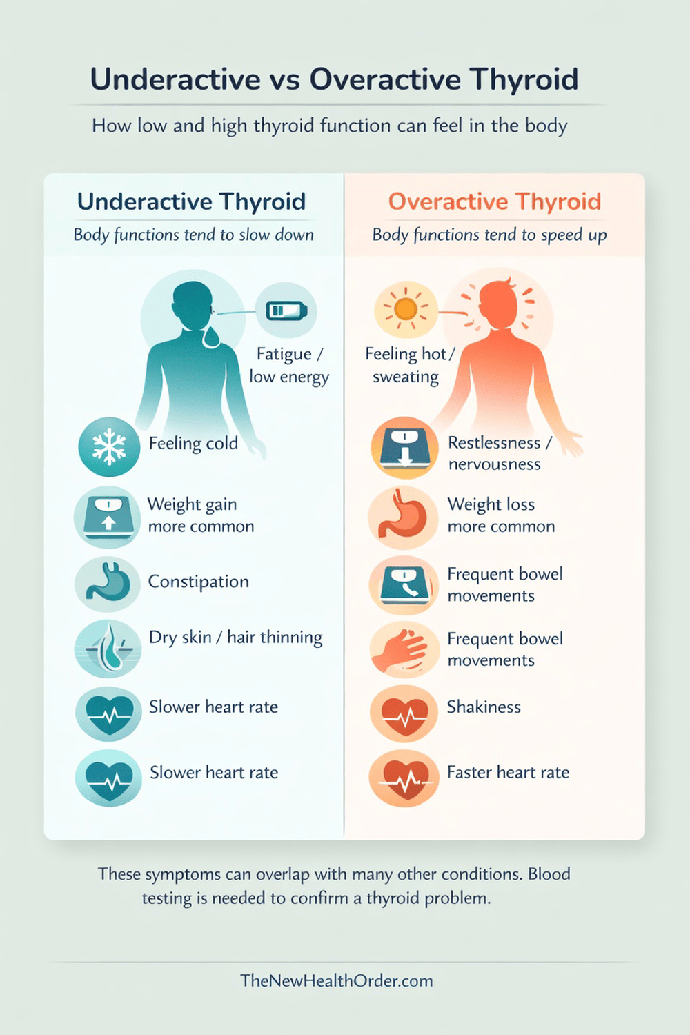 Underactive Vs. Overactive Thyroid