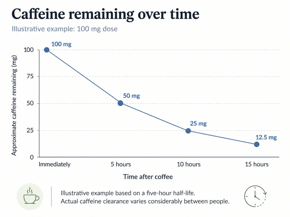 Line graph showing caffeine declining from 100 mg immediately after coffee to 50 mg after 5 hours, 25 mg after 10 hours, and 12.5 mg after 15 hours.