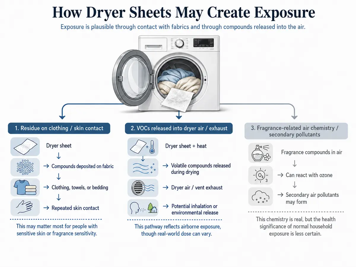 Diagram showing three possible dryer sheet exposure pathways: residue on clothing and skin, VOCs released in dryer exhaust, and fragrance compounds reacting in the air.